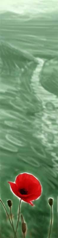 Creation of green fields: Step 2